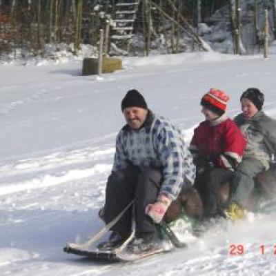 Schlittenfahren 29012005 20150103 11414536241