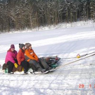 Schlittenfahren 29012005 20150103 13158067371