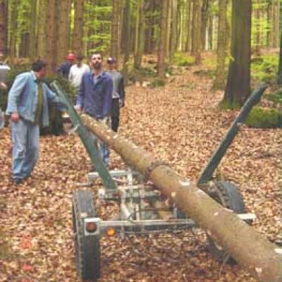 Maibaumaufstellen 2003 20150402 1653555171